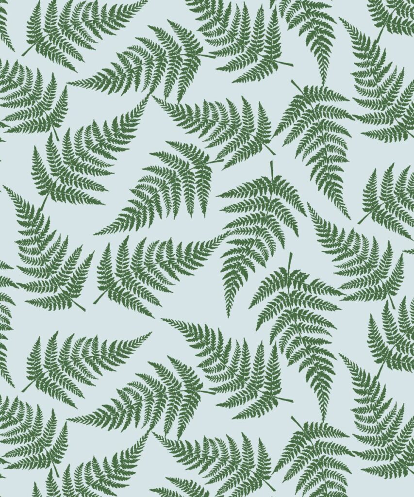 Playful Ferns